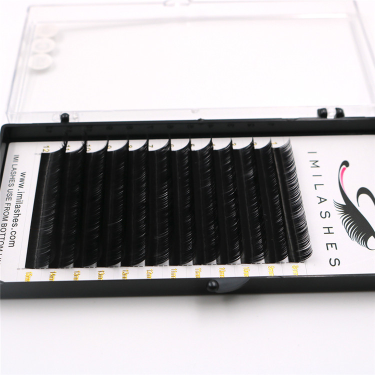 Eyelash extensions korean PBT russian volume lash - A